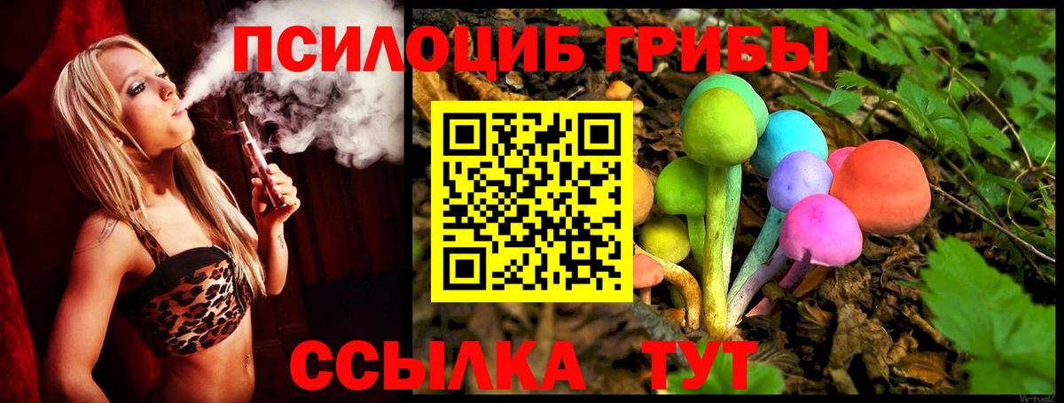 Псилоцибиновые грибы GOLDEN TEACHER Мариинск